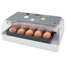 Load image into Gallery viewer, 12 Egg-Turning Incubator with Temperature Control