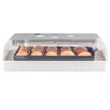 Load image into Gallery viewer, 12 Egg-Turning Incubator with Temperature Control