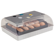 Load image into Gallery viewer, 12 Egg-Turning Incubator with Temperature Control