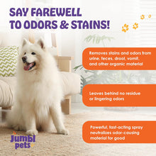 Load image into Gallery viewer, JumblPets 32oz Pet Stain & Odor Eliminator - Unscented Enzyme Cleaner Spray for Urine & Feces