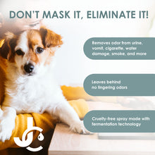 Load image into Gallery viewer, JumblClean Zero Odor Multipurpose Odor Eliminator Spray & Room Deodorizer with No Scent & Non Toxic