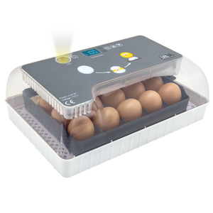 12 Egg-Turning Incubator with Temperature Control