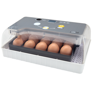 12 Egg-Turning Incubator with Temperature Control